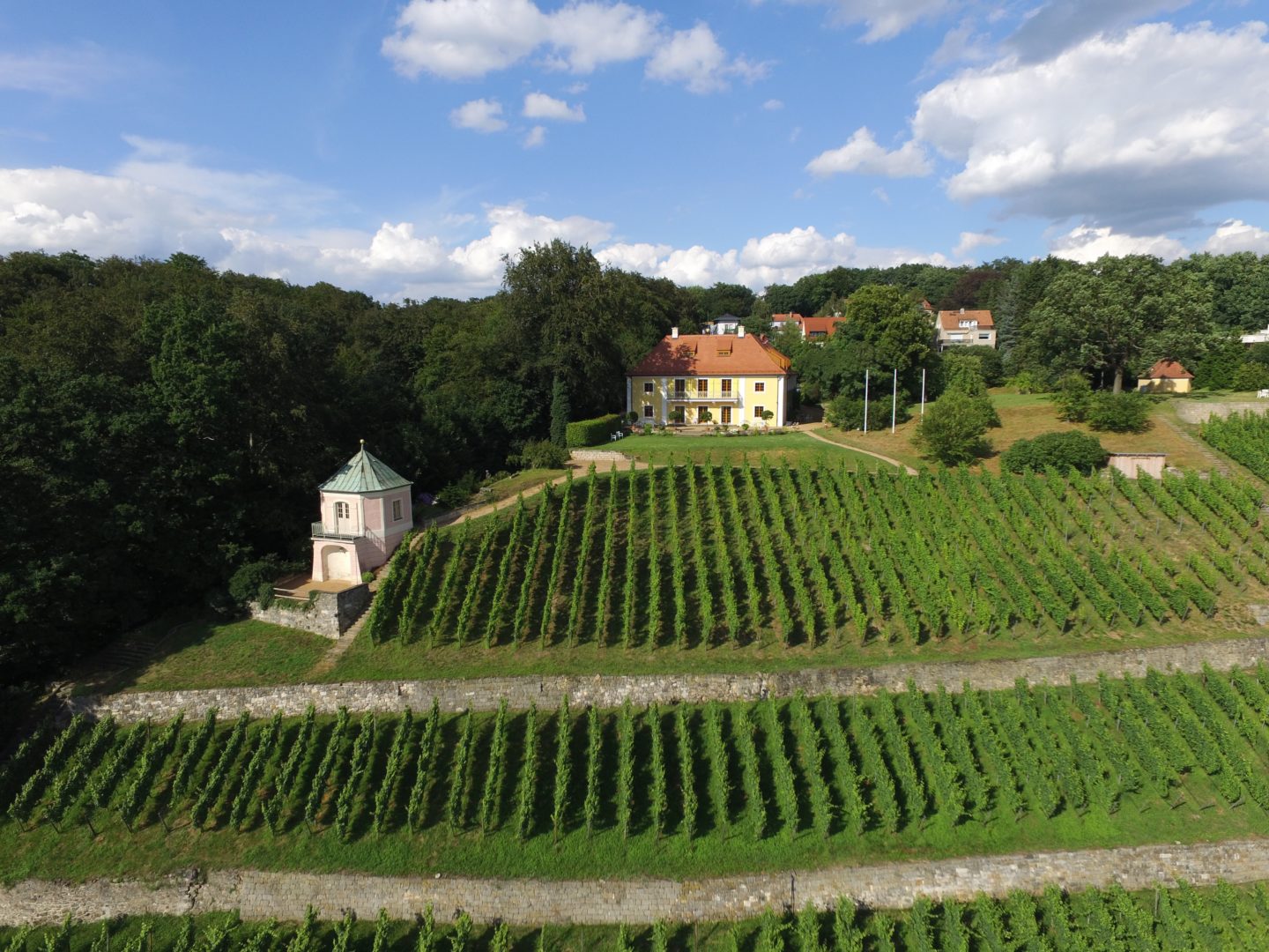 Dinglinger Winyards