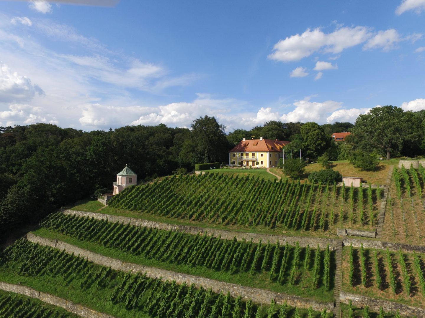 Dinglinger Weinberg改建