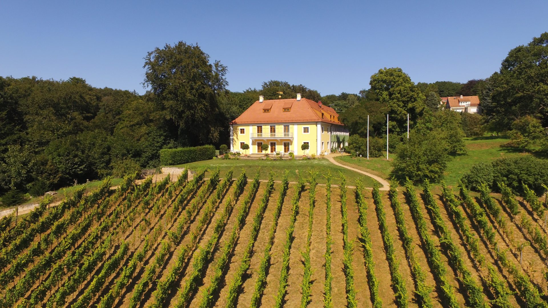 Dinglinger Weinberg改建